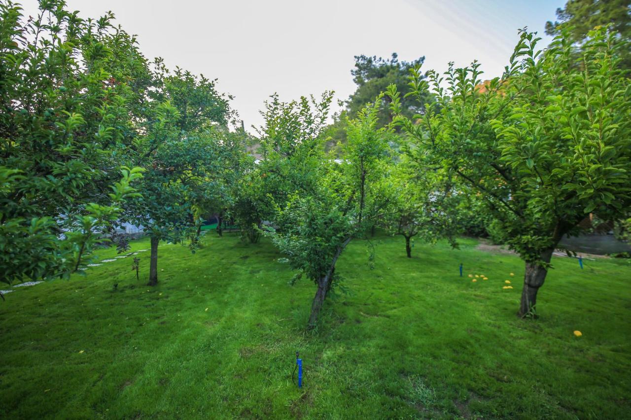 ÇıralıSeker Bungalov公寓 外观 照片