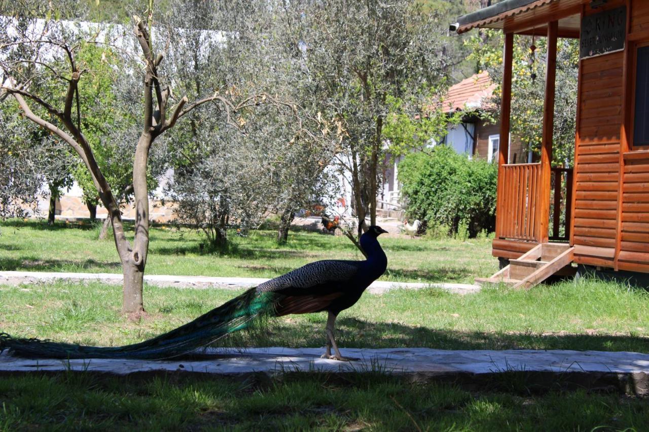 ÇıralıSeker Bungalov公寓 外观 照片