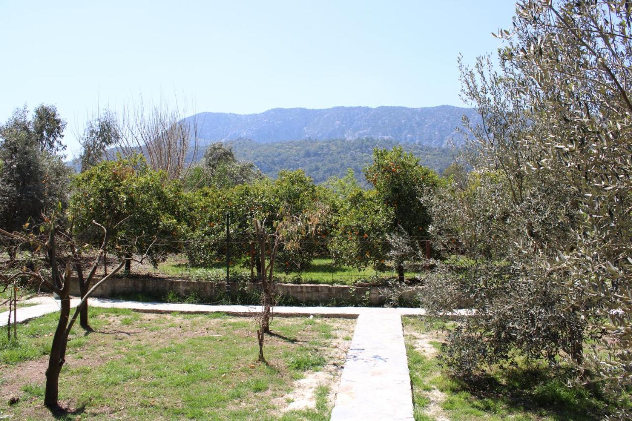 ÇıralıSeker Bungalov公寓 外观 照片
