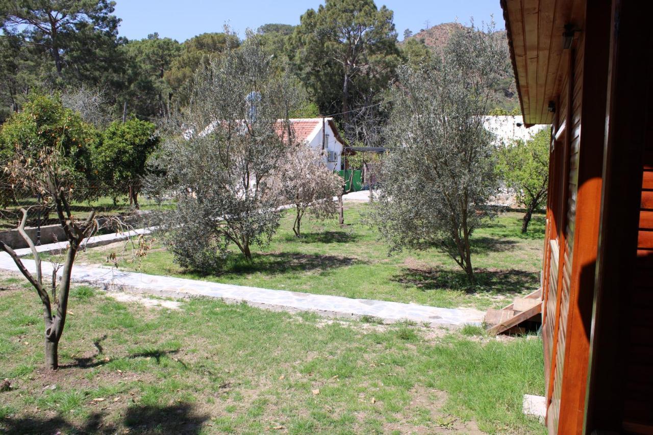 ÇıralıSeker Bungalov公寓 外观 照片