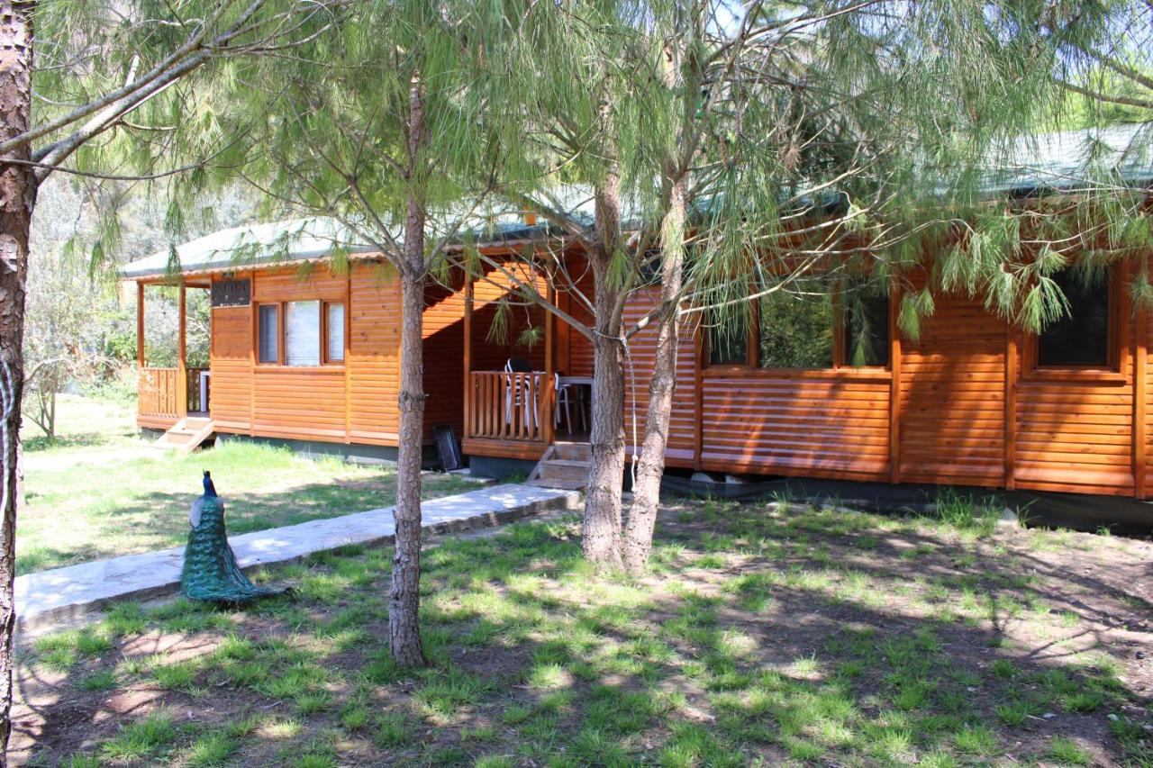 ÇıralıSeker Bungalov公寓 外观 照片