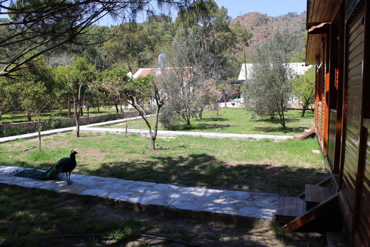 ÇıralıSeker Bungalov公寓 外观 照片