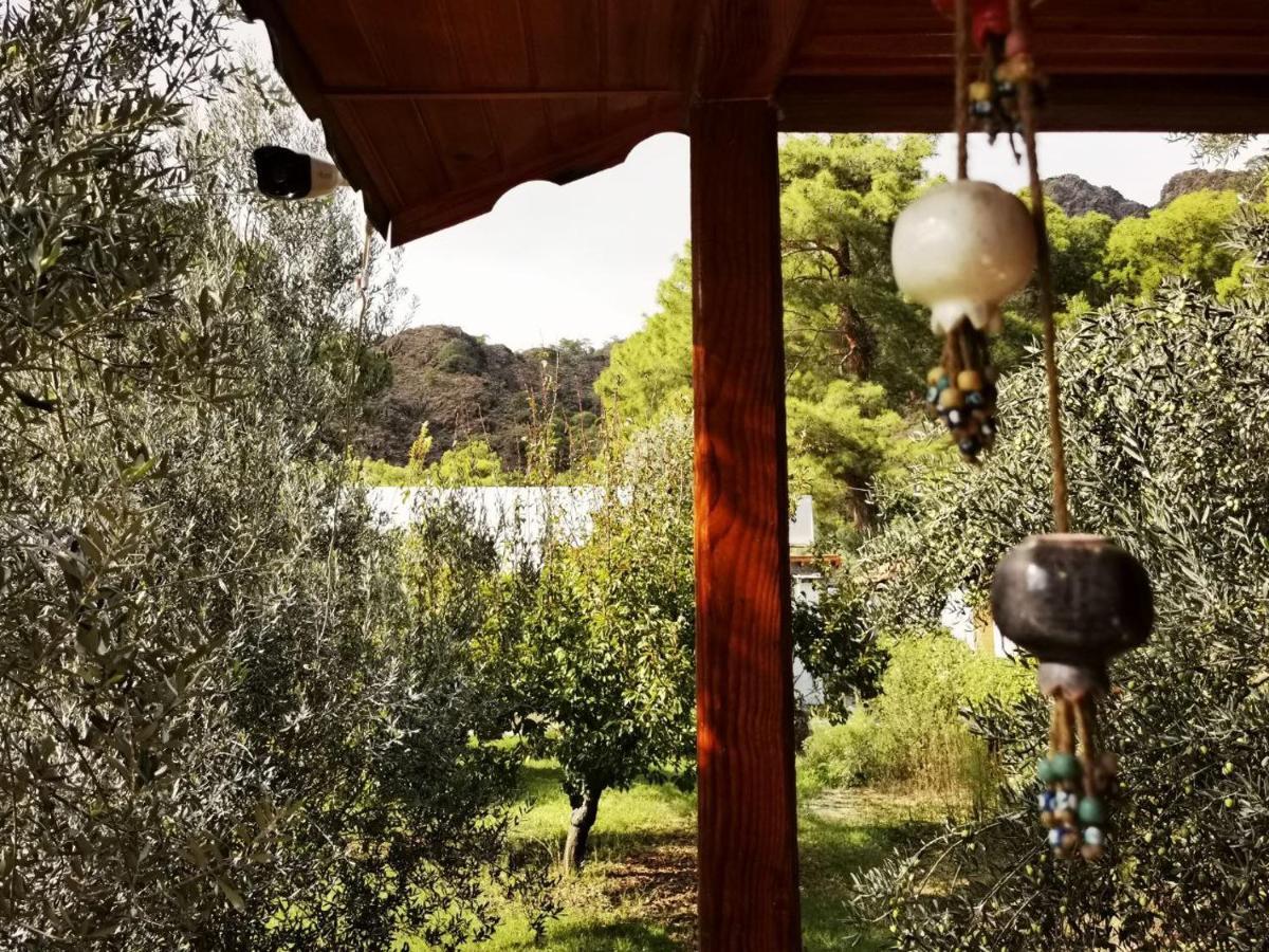 ÇıralıSeker Bungalov公寓 外观 照片