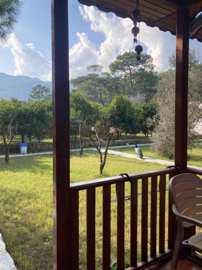 ÇıralıSeker Bungalov公寓 外观 照片